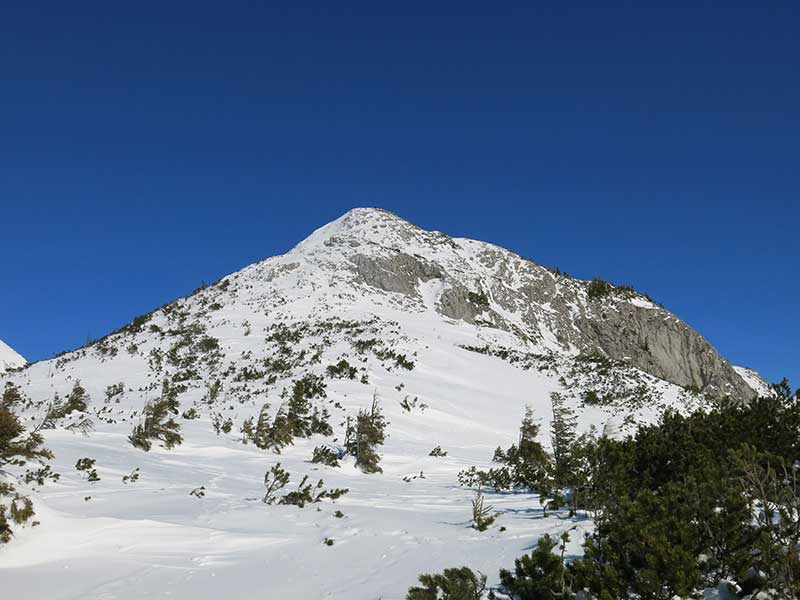 Buchbergkogel